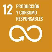 Consumo y producción responsables
